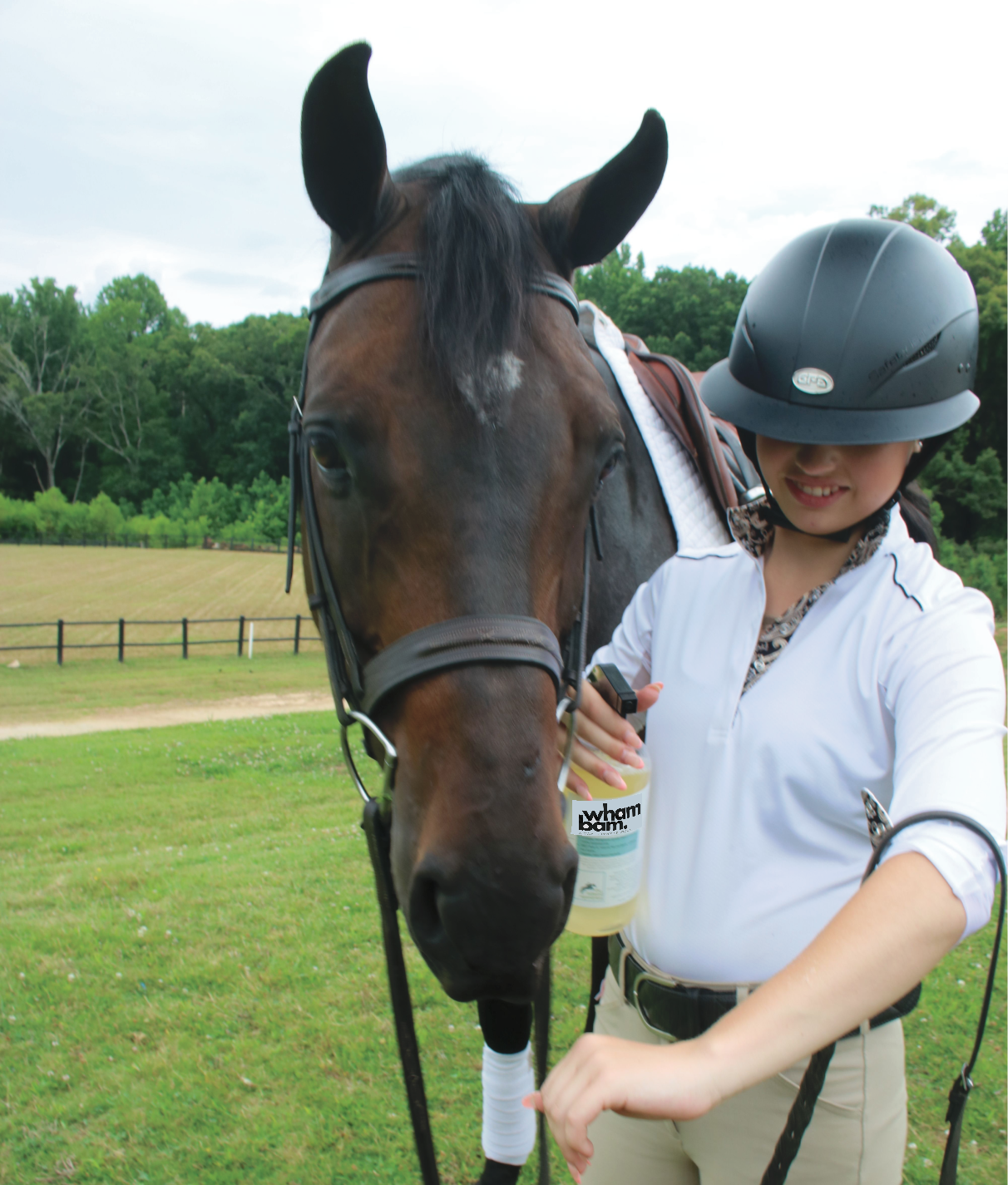 Wham Bam. A Coat Spray Repellent (28 oz)