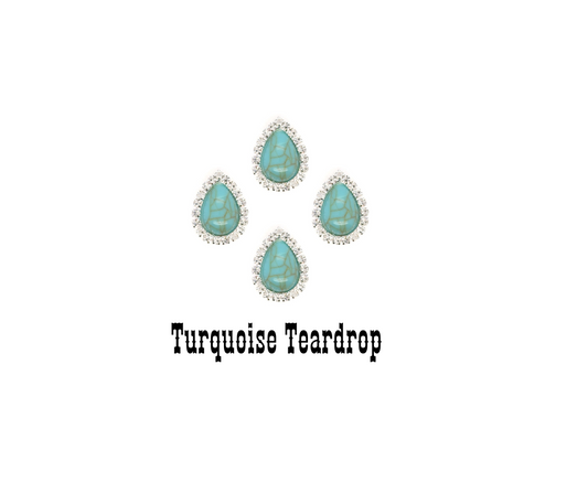 "The Western" Back Magnet Set